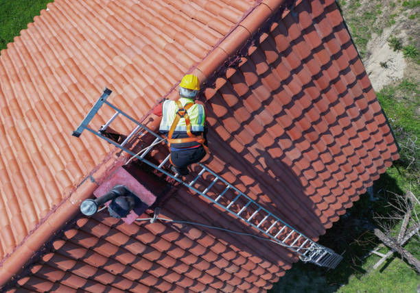 Roof Coating Services in Townsend, DE
